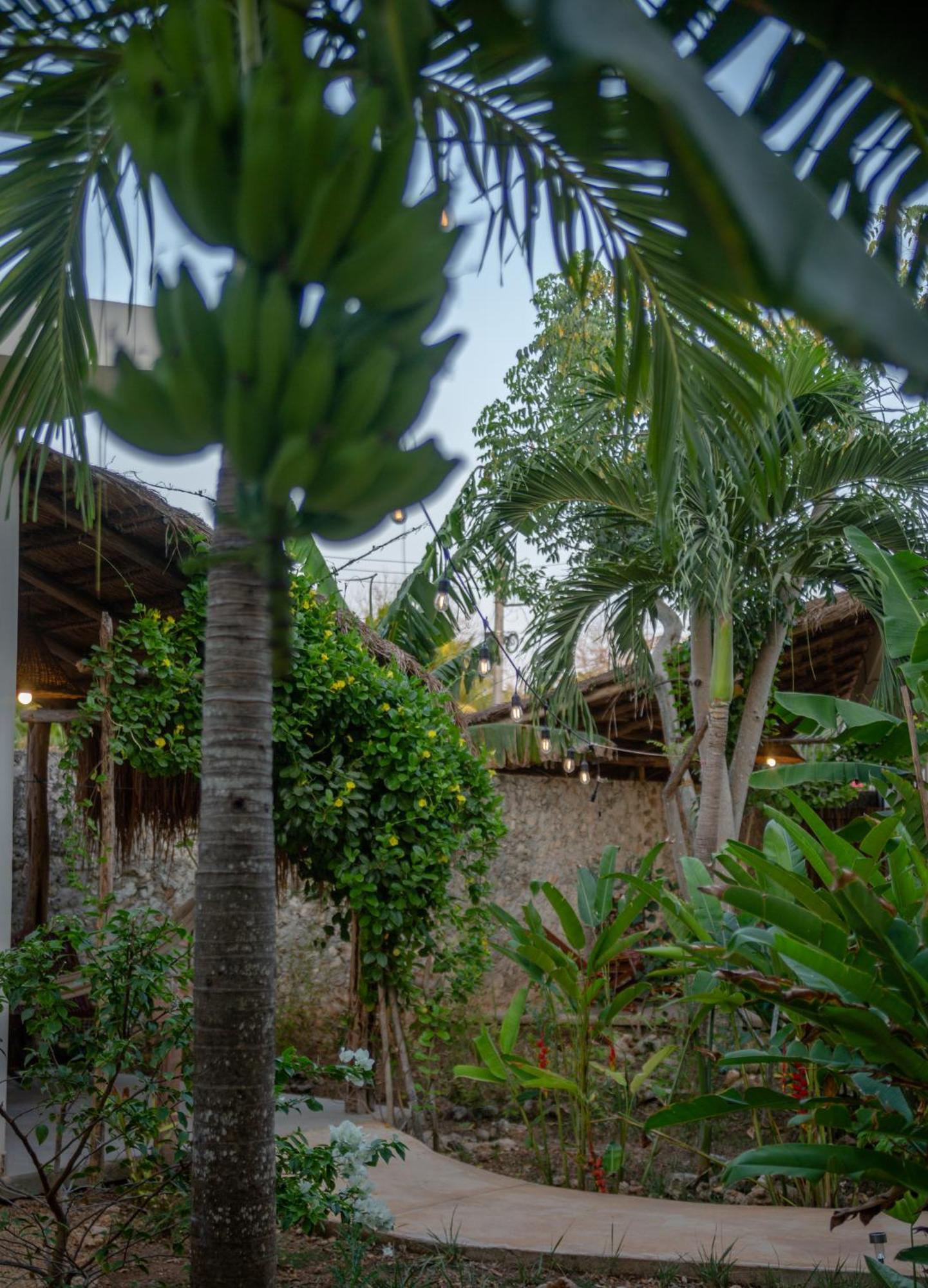 Casa Cactus Buenavista Vila Bacalar Exterior foto
